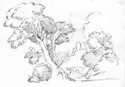 Tree_and_Castle_ud_d45_700.jpg